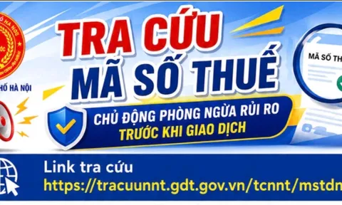 Làm sạch mã số thuế: 3 việc người nộp thuế cần làm
