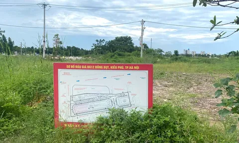 Xã Kiều Phú: Vì sao người trúng đấu giá đất ở lại thấp thỏm về quy hoạch?