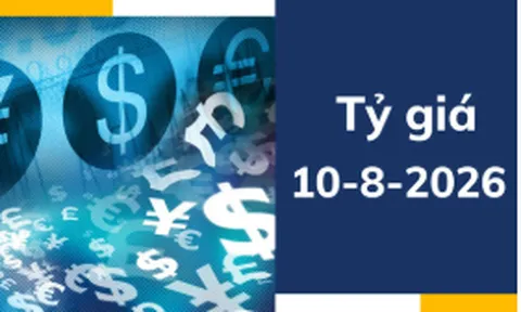 Tỷ giá USD ngày 10-8: USD chịu sức ép