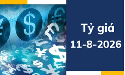 Tỷ giá USD ngày 11-8: USD nhích tăng, thị trường chờ tín hiệu từ CPI Mỹ