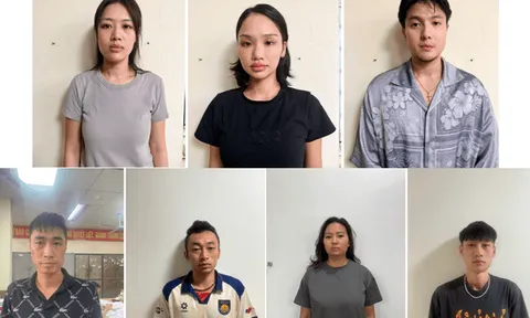 Nghệ sĩ vướng án ma túy: Bài học đắt giá về đạo đức và tinh thần thượng tôn pháp luật