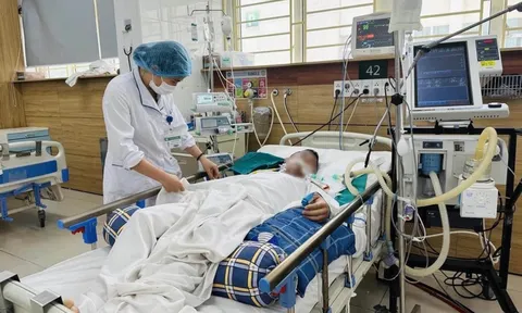 Du lịch nghỉ lễ 2-9: Cẩn trọng với nguy cơ dị ứng, ngộ độc