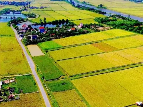 Các hình thức xử phạt khi tự ý chuyển mục đích sử dụng đất