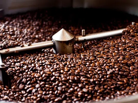 Giá cà phê hôm nay 16/11: Arabica tiếp tục tăng, lập đỉnh mới