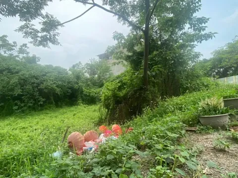 Vì sao 23 hộ dân trúng đấu giá đất ở xã Trần Phú, Chương Mỹ đã 16 năm không được cấp sổ đỏ, xây nhà?