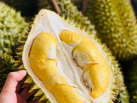 Những điều cấm kị khi ăn sầu riêng, bạn nên biết để tránh ngộ độc