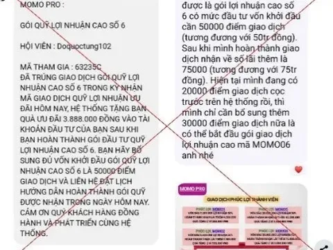 Sập bẫy đầu tư MoMo Pro giả mạo, nhiều người mất hàng trăm triệu đồng