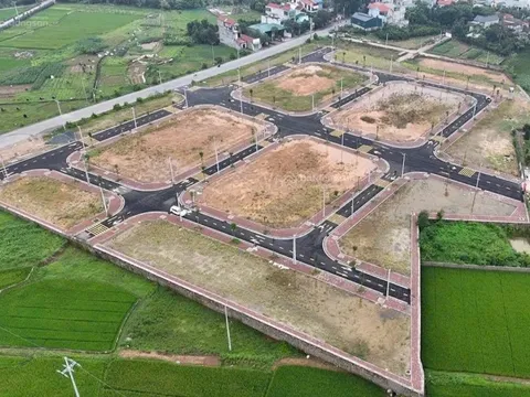 Giữa tháng 6, đấu giá đất tại huyện Phúc Thọ, khởi điểm từ 8,9 triệu/m2