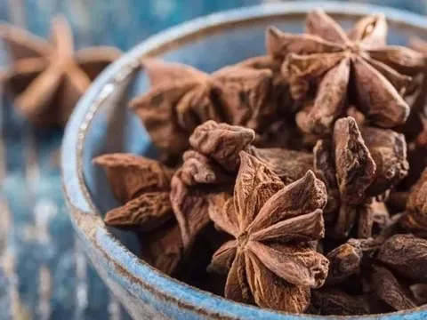 Loài hoa triệu đô là "thuốc quý" cực bổ dưỡng bán rẻ ở chợ Việt