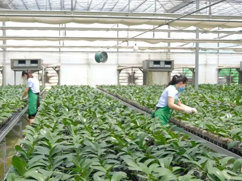 Nghị quyết 68 của Bộ Chính trị: để doanh nghiệp trẻ “không thua trên sân nhà”