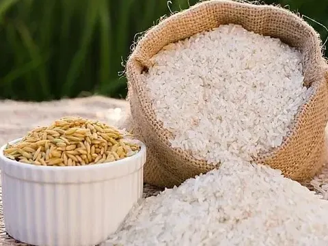 Giá lúa gạo hôm nay 3/6: giá gạo giảm mạnh