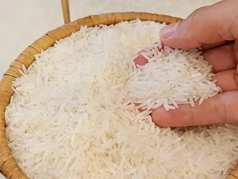 Giá lúa gạo hôm nay 5/6: gạo tăng lúa giảm