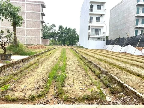 Giá đất nền tách thửa ven đường Vành đai 4 liên tục “tăng nóng”