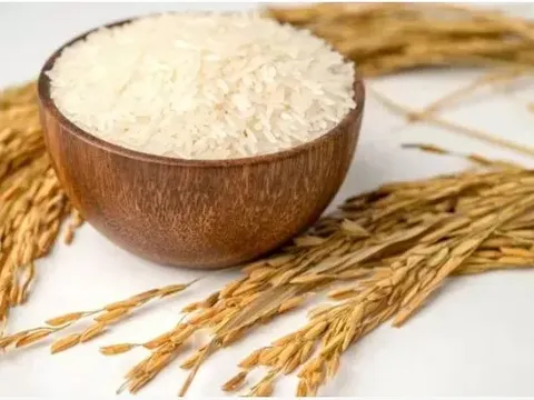 Giá lúa gạo hôm nay 6/6: lúa tươi bật tăng