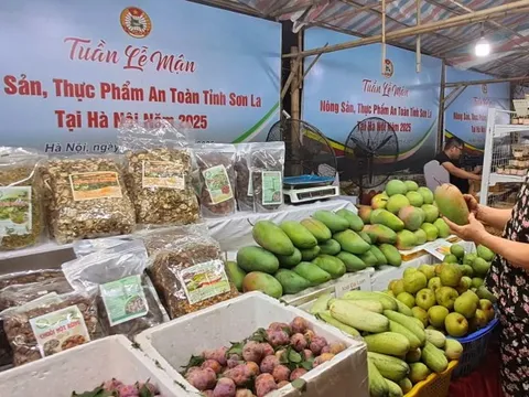 Hà Nội chung tay hỗ trợ người dân Sơn La quảng bá tiêu thụ hoa quả - nông sản