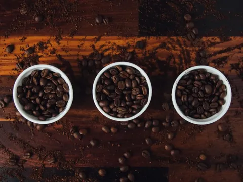 Giá cà phê hôm nay 14/6/2025: 2 sàn cùng tăng, Robusta tiếp tục phục hồi