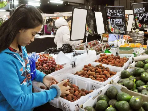 Chìa khóa để trái cây Việt vươn xa: Từ mã vùng trồng đến chiến lược thị trường