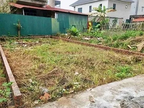 Giá đất nền Đông Anh duy trì mức giá cao dù giao dịch chậm