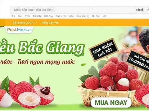 Nâng giá trị cho trái vải thiều Việt Nam