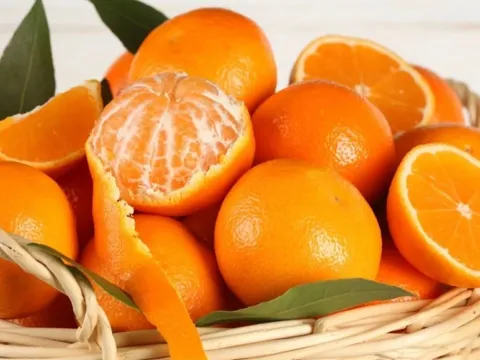 Trẻ em nên ăn quả quýt hay quả cam?