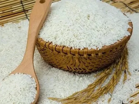 Giá lúa gạo hôm nay 27/6: giá gạo tăng nhẹ