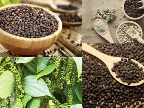 Giá tiêu hôm nay 1/7/2025: tăng mạnh trở lại, giá tiêu xuất khẩu cũng khởi sắc