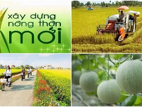 Thực hiện "4 đẩy mạnh", "3 tiên phong" để đạt mục tiêu nông nghiệp sinh thái, nông thôn hiện đại