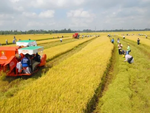 Kéo dài thời gian miễn thuế sử dụng đất nông nghiệp đến hết ngày 31/12/2030