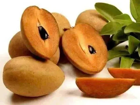 Một số lưu ý khi ăn hồng xiêm