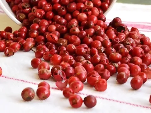 Giá tiêu hôm nay 5/7/2025: giảm liền 2 ngày, thủng mốc 140.000 đồng/kg