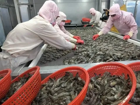 Doanh nghiệp Việt Nam sẵn sàng trước các mức thuế đối ứng của Mỹ sau ngày 9/7