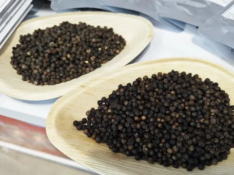 Giá tiêu hôm nay 8/7/2025: tăng trở lại, đồng loạt vượt mốc 140.000 đồng/kg