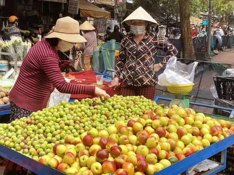 Đào mận Trung Quốc núp bóng nông sản Việt Nam