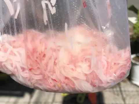 Vụ bún tươi chuyển màu đỏ ở Đà Nẵng: cơ sở sản xuất bị tạm dừng hoạt động