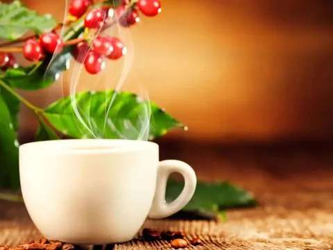 Giá cà phê hôm nay 10/7/2025: 3 nguyên nhân đẩy cà phê giảm trở lại