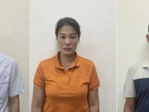 Quảng Ninh: khởi tố Chủ tịch HĐQT kiêm Giám đốc Công ty MTV Lâm nghiệp Hoành Bồ