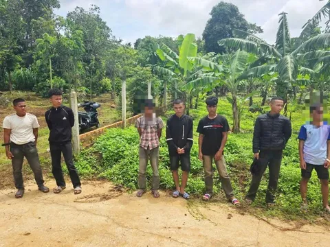 Đắk Lắk: khởi tố nhóm thanh, thiếu niên dàn cảnh cướp điện thoại lấy tiền ăn nhậu