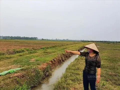 Điều cần lưu ý trong cách tính thuế sử dụng đất nông nghiệp năm 2025