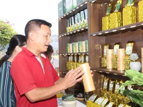 Sơn La: phát triển sản phẩm công nghiệp nông thôn tiêu biểu gắn với nông nghiệp sạch