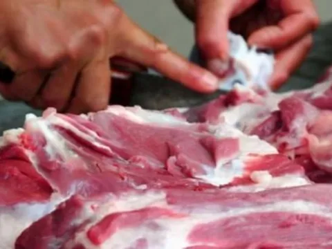 Những dấu hiệu nhận biết thịt nhiễm tả heo châu Phi
