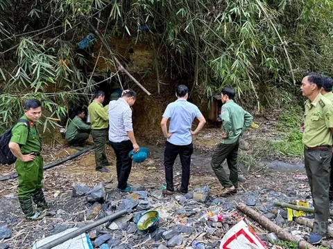 Xử lý các đối tượng khai thác vàng không phép trong rừng phòng hộ Đắk Glong