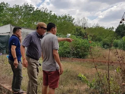 Lời giải xử lý tận gốc “cò đất” lộng hành
