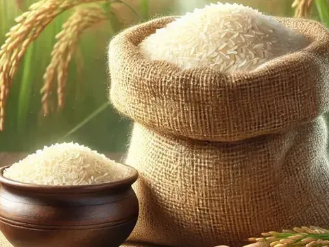 Giá lúa gạo hôm nay 31/7: gạo xuất khẩu tăng mạnh