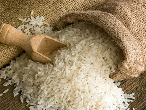 Giá lúa gạo hôm nay 4/8: giao dịch mua bán vắng, giá bình ổn