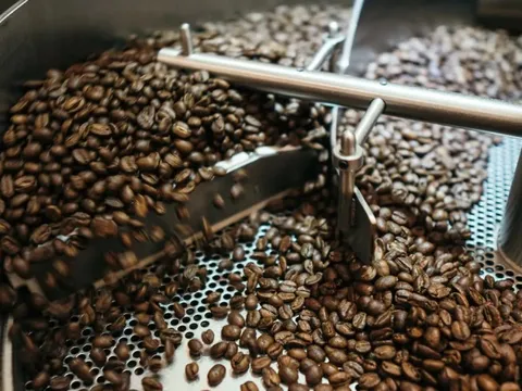 Giá cà phê hôm nay 5/8/2025: Robusta tăng cả trăm USD, trong nước vượt 100.000 đồng/kg