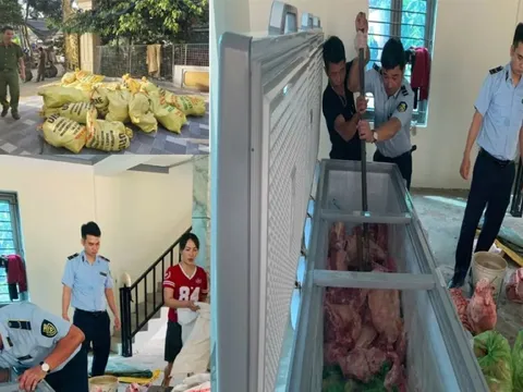 Phát hiện đường dây giết mổ, tiêu thụ thịt lợn dịch bệnh ở Thanh Hóa