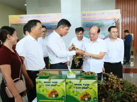 Hưng Yên xúc tiến tiêu thụ nhãn và nông sản năm 2025