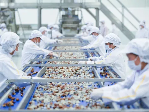 Liên kết chuỗi cung ứng - nền tảng phát triển bền vững doanh nghiệp