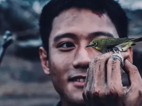 Nghịch lý doanh thu phim Việt đầu năm và cuối năm 2025