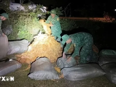 Sắp xét xử vụ buôn lậu vàng xuyên biên giới